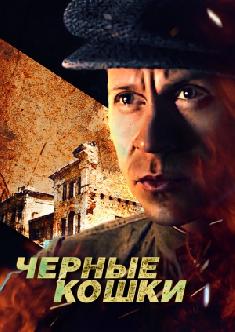 Черные кошки смотреть