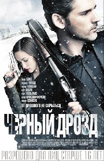 Черный дрозд смотреть