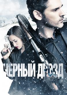 Черный дрозд смотреть