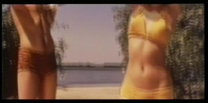 Цветы луговые смотреть