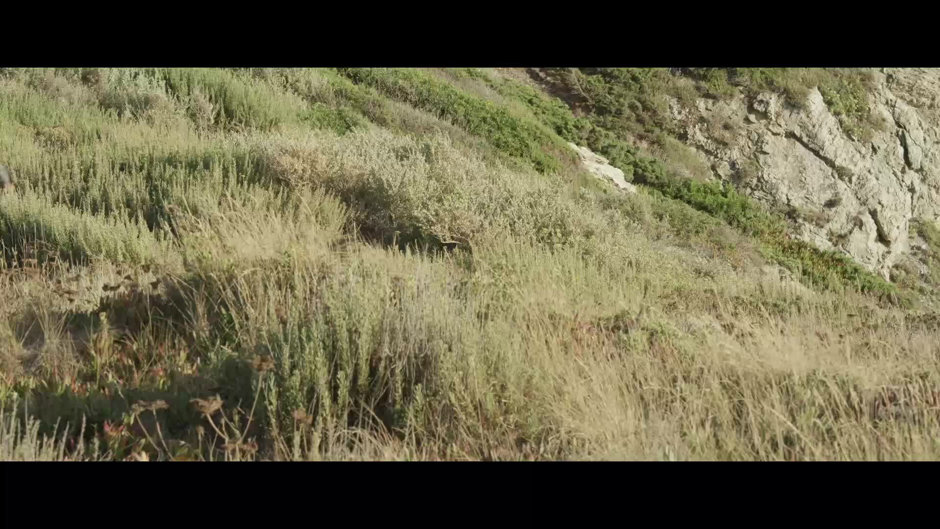 Да здравствует Франция! смотреть