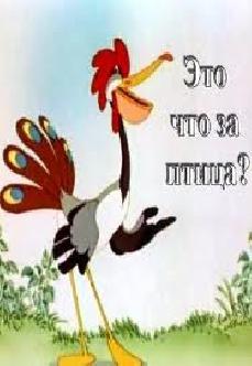Это что за птица? смотреть