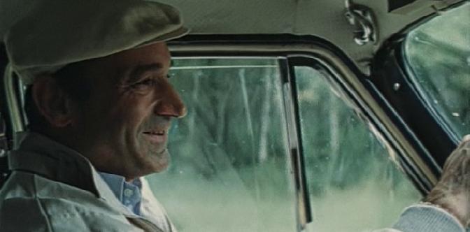 Год телёнка смотреть