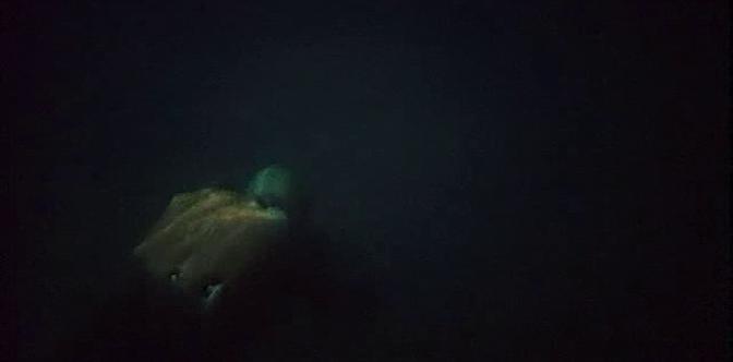 Голубая стрела смотреть