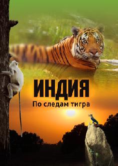 Индия: По следам тигра смотреть