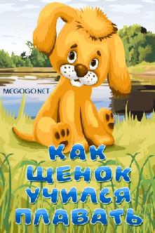 Как щенок учился плавать смотреть