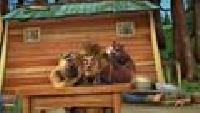 Медведи-соседи Сезон-1 Помощники лесоруба