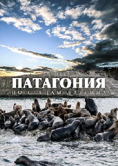 Патагония: По следам Дарвина смотреть
