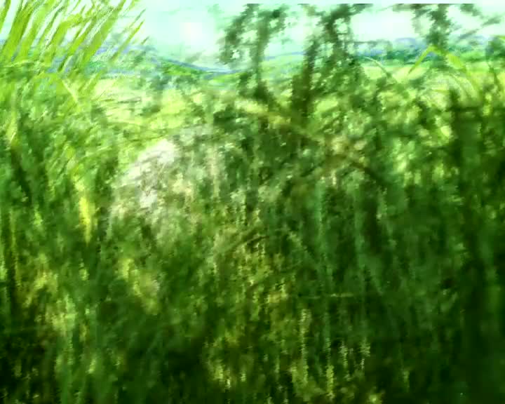 Первая охота смотреть