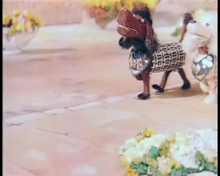 Приз смотреть