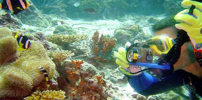 Relax Ocean. Музыка морских глубин смотреть