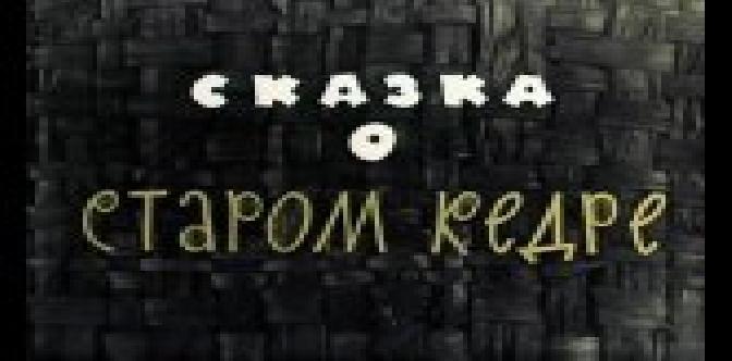 Сказка о старом кедре смотреть
