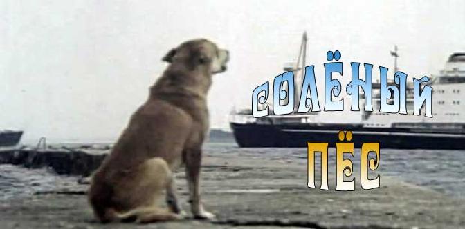 Соленый пес смотреть