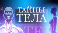 Тайны тела