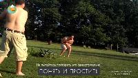 Трололо Сезон-1 Серия 47