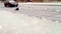Дорожные войны 3 сезон 432 выпуск