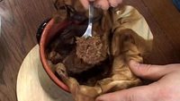 Еда с Алексеем Зиминым 1 сезон Соль