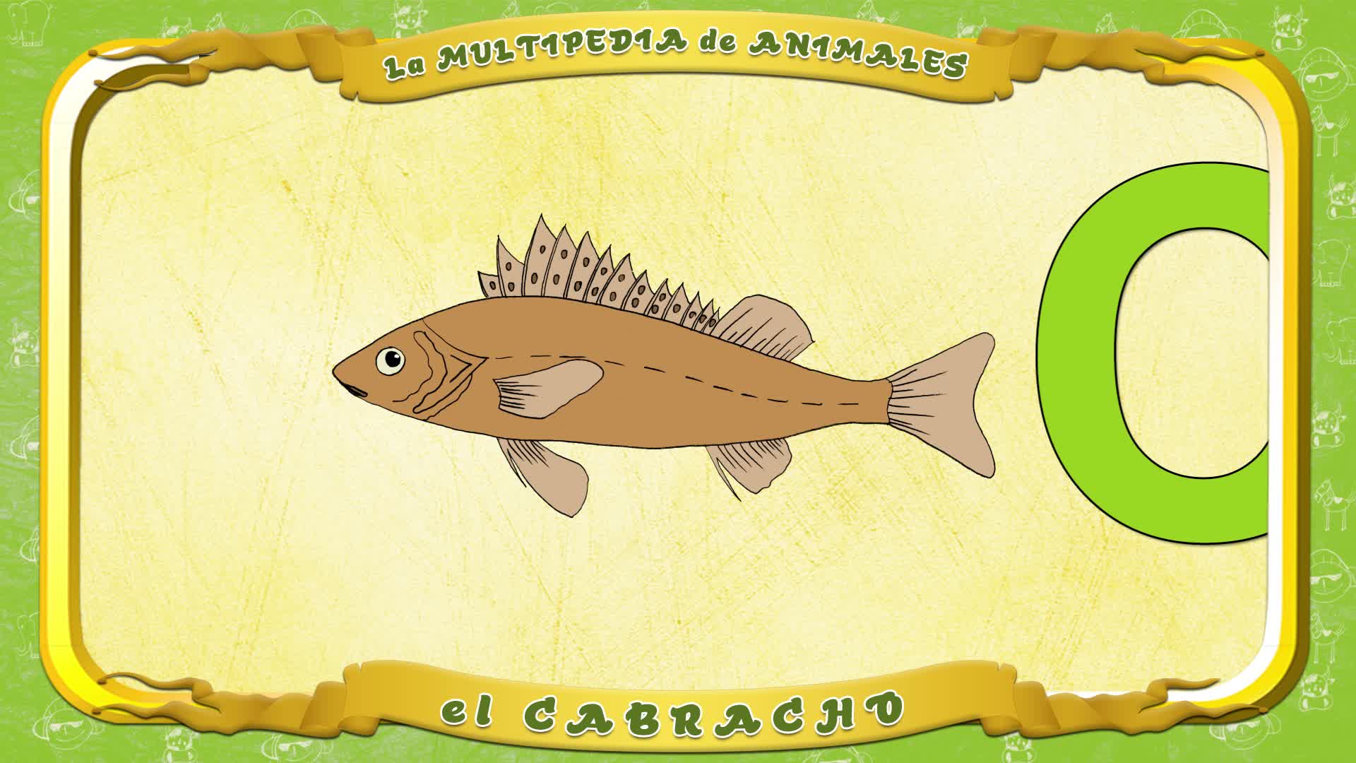 La Multipedia De Animales Letra C El Cabracho смотреть онлайн