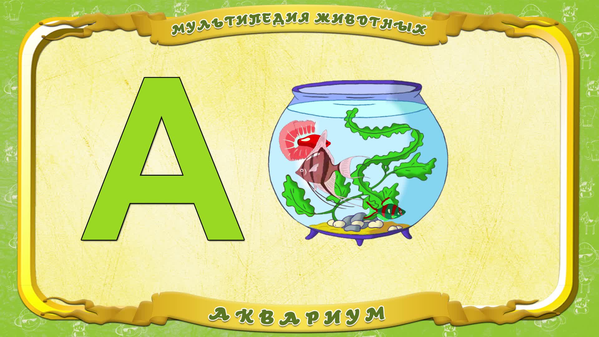 Мультипедия животных. Буква А - Аквариум