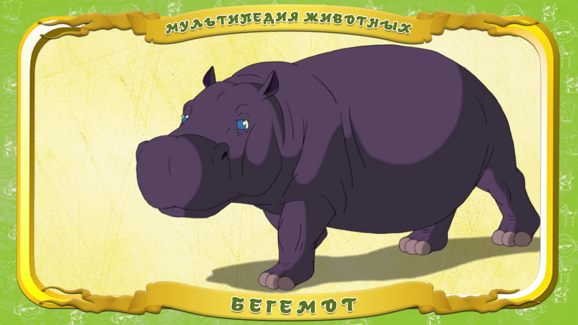 Мультипедия животных. Буква Б - Бегемот