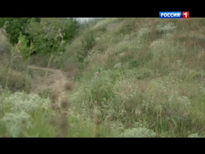 Пока станица спит Пока станица спит Серия 50