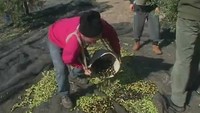 Спросите повара 1 сезон 133 выпуск