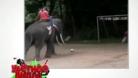 Улетное видео по-русски! 2 сезон 261 выпуск