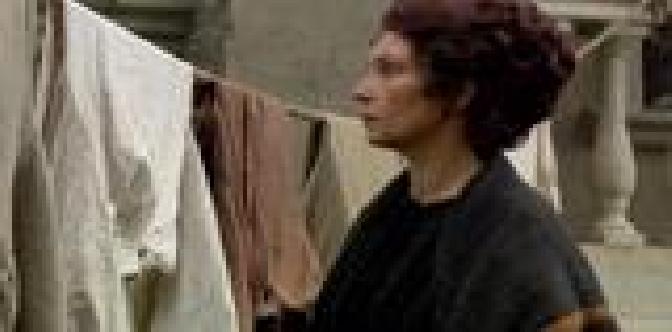 Записки смотрящего. Интриганка чужая жизнь глава 47. Записки из мертвого дома. В. Записки смотрящего.